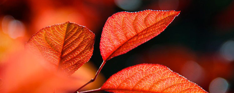 1479723300224539.jpg 22.jpg