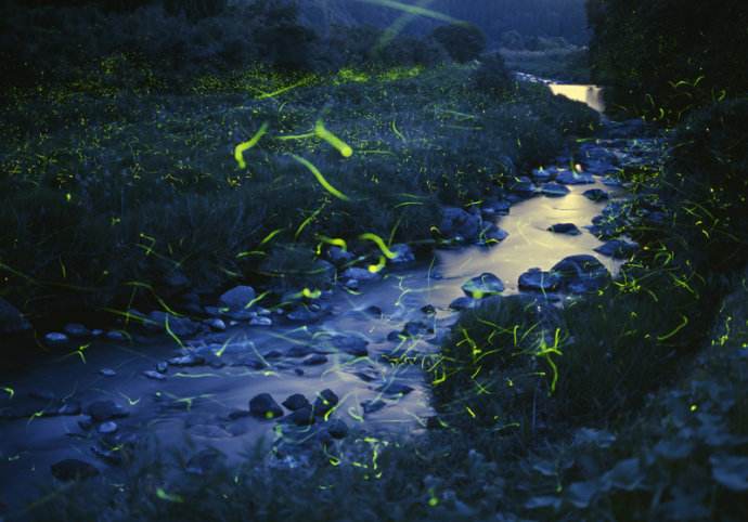 1497264993628923.jpg 1497264993628923.jpg